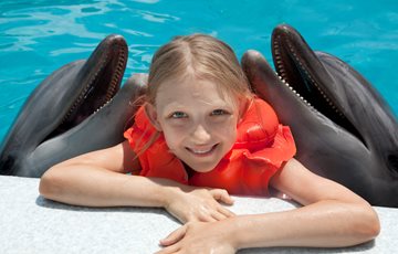 Little Known Dolphin Fact