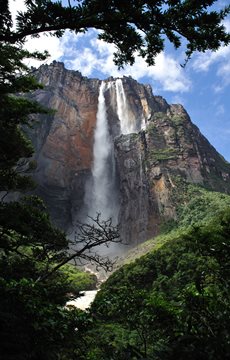 Angel Falls Fact