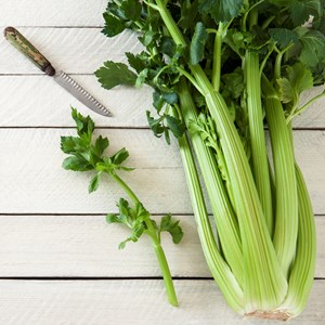 Interesting Juicing Facts