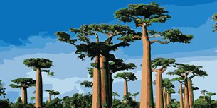 Interesting Madagascar Infographic