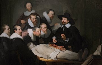 Interesting Brain Dissection Fact