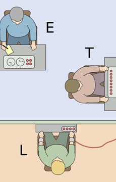 Interesting Mind Fact