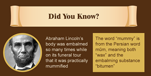 Mummy Infographic