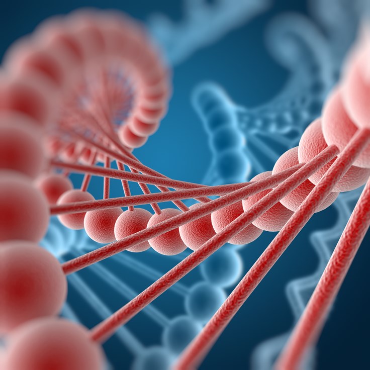 Interesting Protein Facts