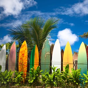 Interesting Donald Dettloff Facts