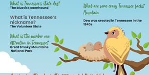 Fun Tennessee Infographic