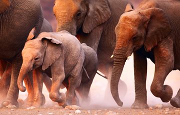 Interesting Tidal Wave Facts