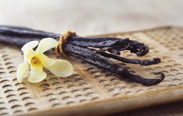 Vanilla plant facts
