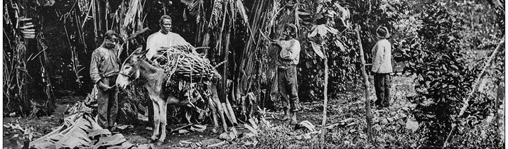 Jamaica History Facts