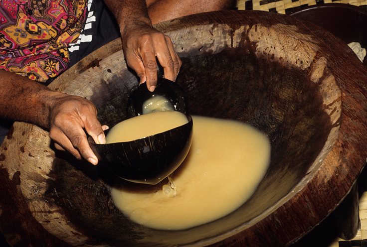 Fiji Kava Facts