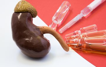 Kidney Organ Donation