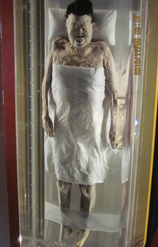 50 Interesting Facts about Mummies | FactRetriever