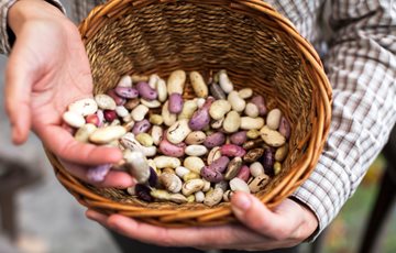 Peanut Butter Legumes