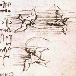 Leonardo Facts and animals