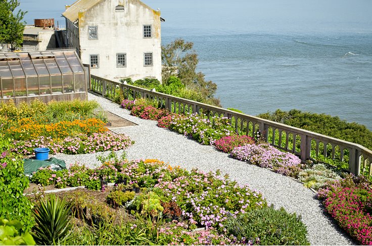 Alcatraz Garden Fact