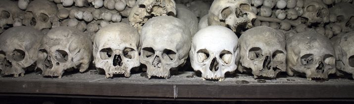 Interesting Church of Bones Fact