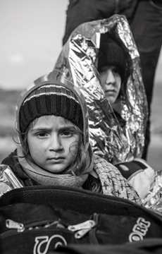 Educational Iraq War Fact