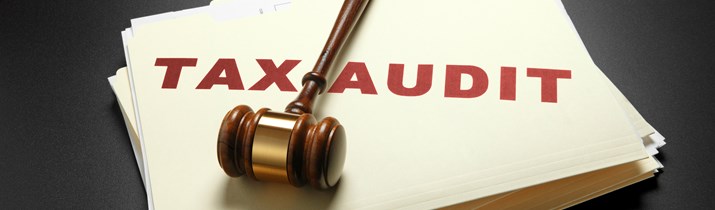 Interesting IRS Audit Facts