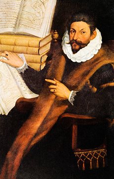 Amazing Plastic Surgery Fact