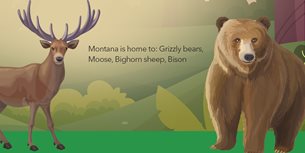 Montana Infographic Thumbnail