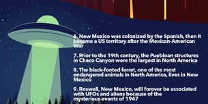 New Mexico Thumbnail