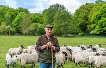 New Zealand Interesting Fact