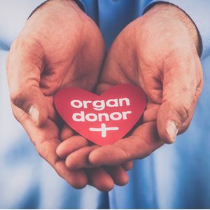 Organ Donation Registry