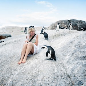 Friendly Penguin Fact