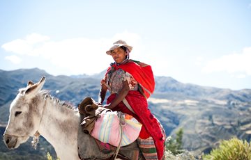 Machu Picchu Inhabitants
