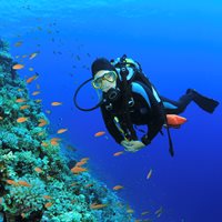 Interesting Coral Reef Facts