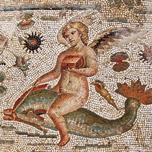 Interesting Dolphin History Fact