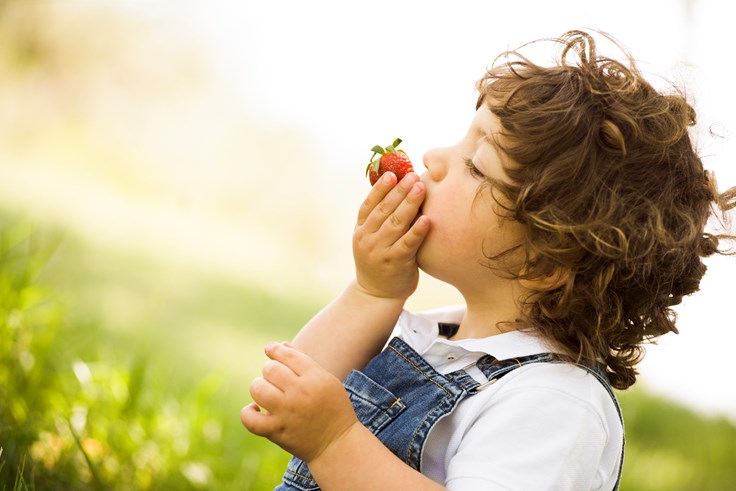 Random Organic Food Fact