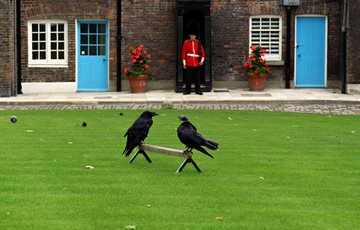Interesting Tower of London Facts