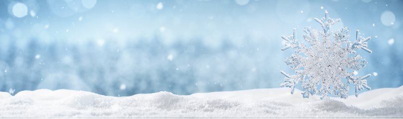 Snow Facts