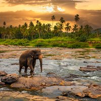 Sri Lanka Information