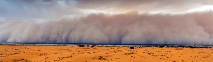 Educational Sudan Facts