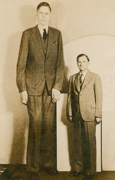 Tallest man in history Fact