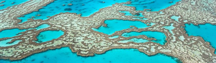 Great Barrier Reef Facts