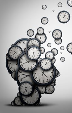 Time and the Brain Facts