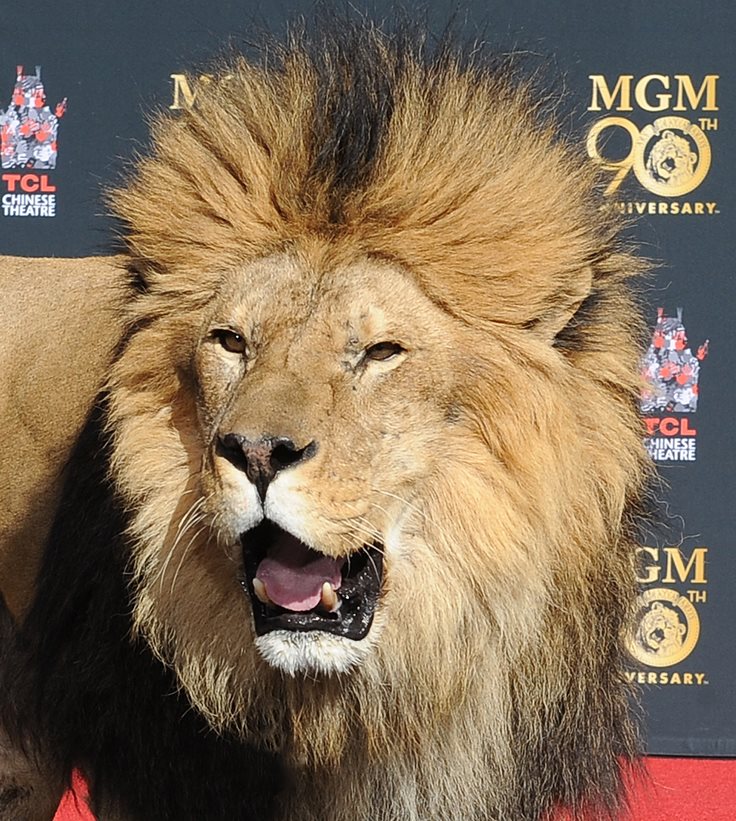 Yale University Information