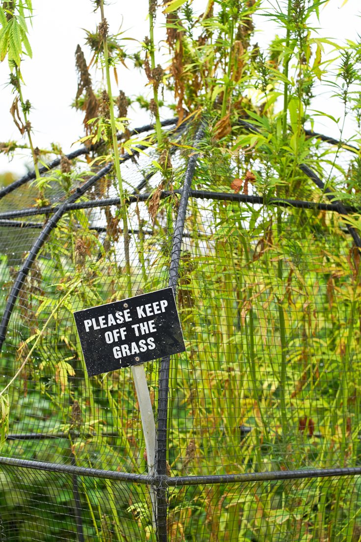 Poison Garden Fact
