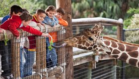 Top 10 Amazing Zoos