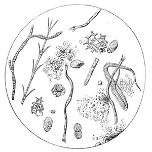 Water Filter Invention