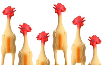 Rubber Chicken
