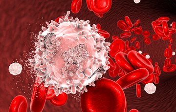 Vaccines Science Cells