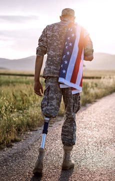 Veterans Day Holiday