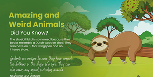 Weird animal infographic and facts