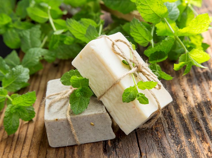 25 Organic Soap Facts You Should Know FactRetriever
